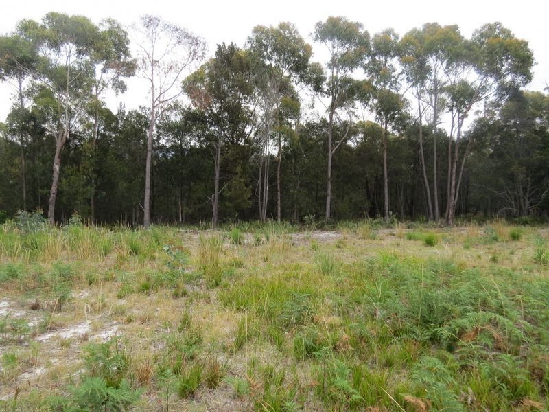Lot 1 69 Eastern Creek Road, Beaumaris TAS 7215