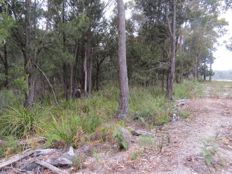 Lot 1 69 Eastern Creek Road, Beaumaris TAS 7215