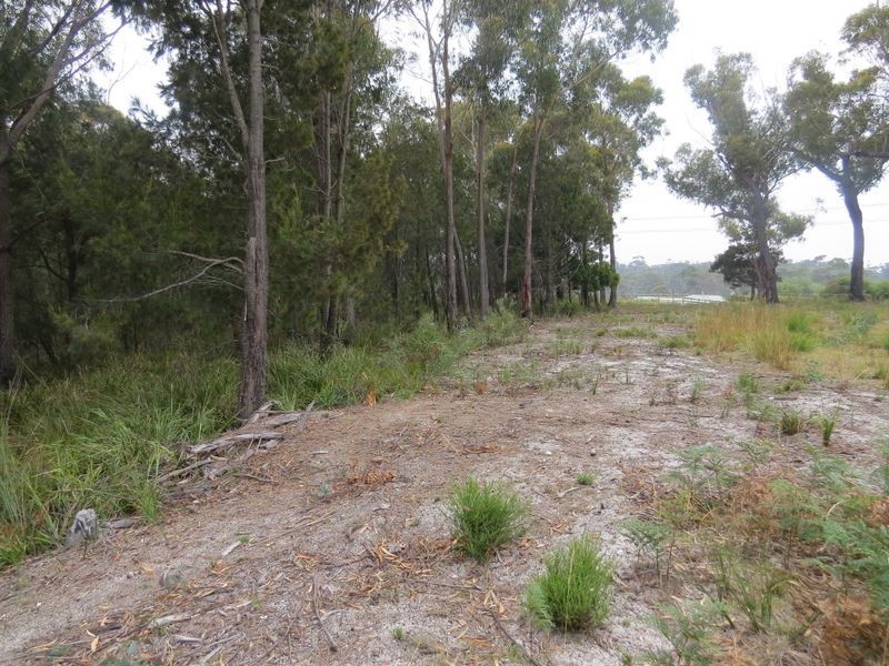 Lot 1 69 Eastern Creek Road, Beaumaris TAS 7215