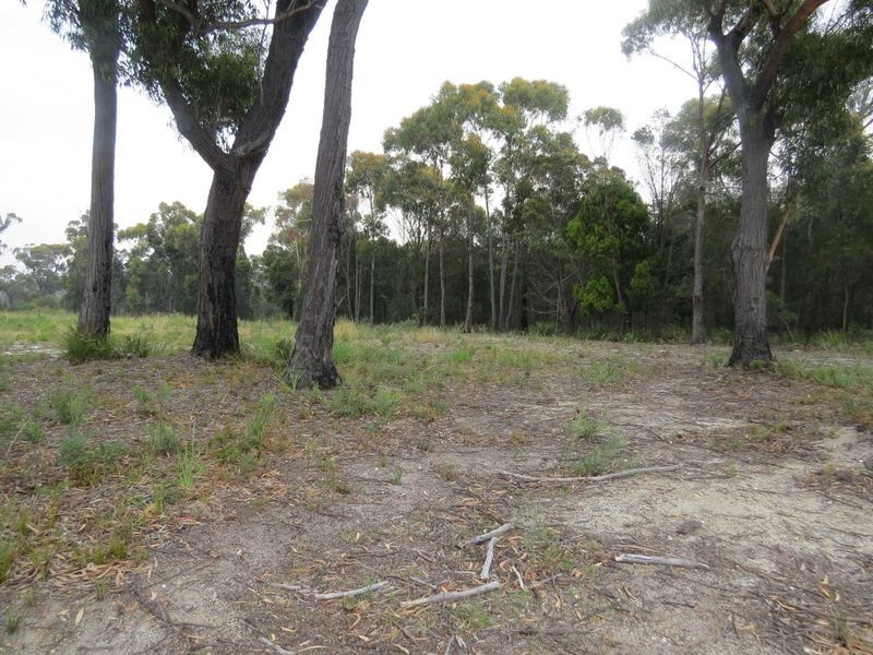 Lot 1 69 Eastern Creek Road, Beaumaris TAS 7215