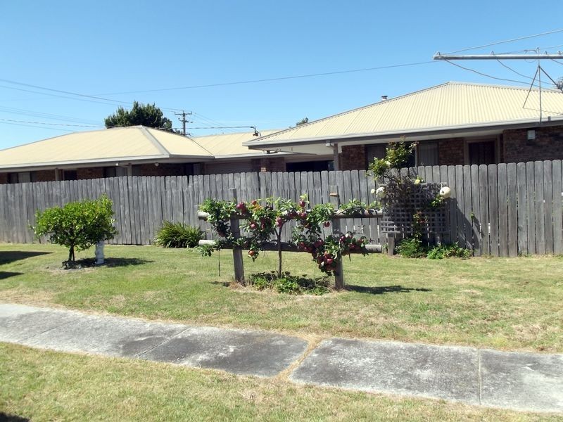 17 Tully Street, St Helens TAS 7216