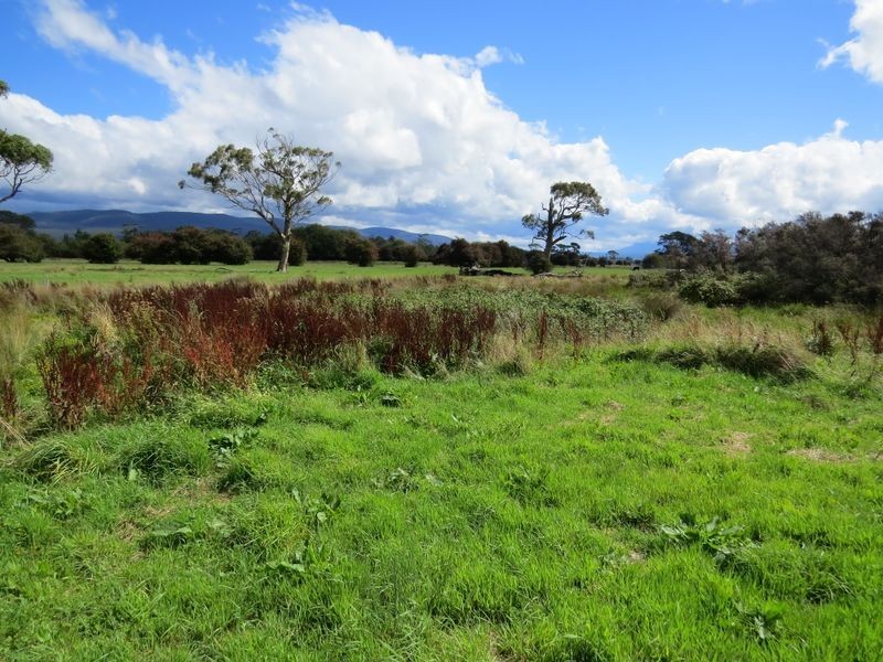 28 Clive Street, St Marys TAS 7215