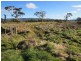 28 Clive Street, St Marys TAS 7215