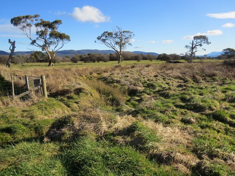 28 Clive Street, St Marys TAS 7215