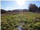 28 Clive Street, St Marys TAS 7215