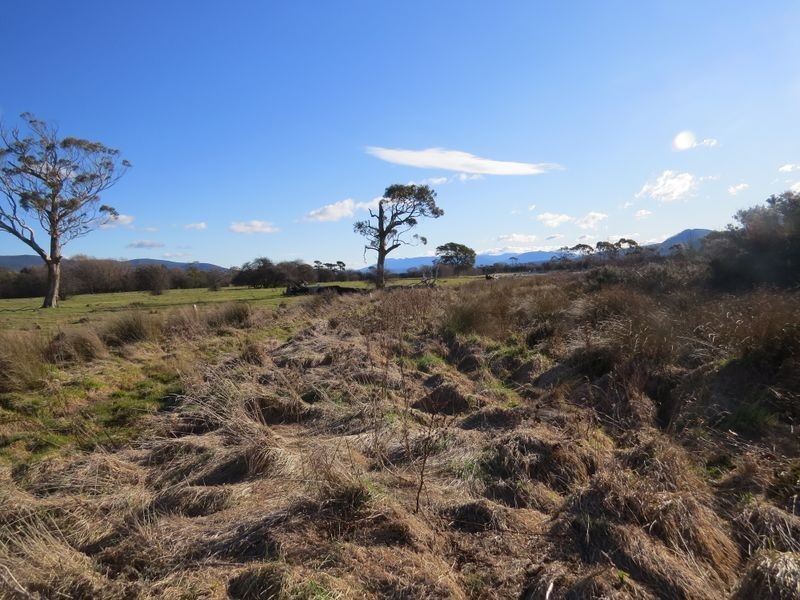 28 Clive Street, St Marys TAS 7215