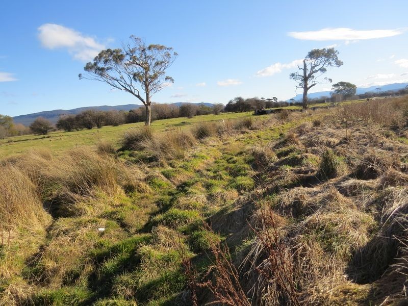 28 Clive Street, St Marys TAS 7215