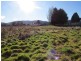 28 Clive Street, St Marys TAS 7215