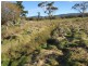 28 Clive Street, St Marys TAS 7215