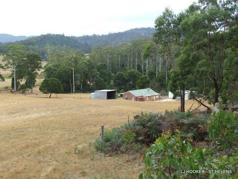 24 Fitzgeralds Road, Goulds Country TAS 7216