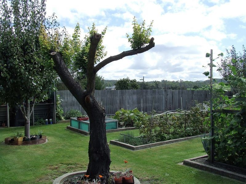 26 Tully Street, St Helens TAS 7216