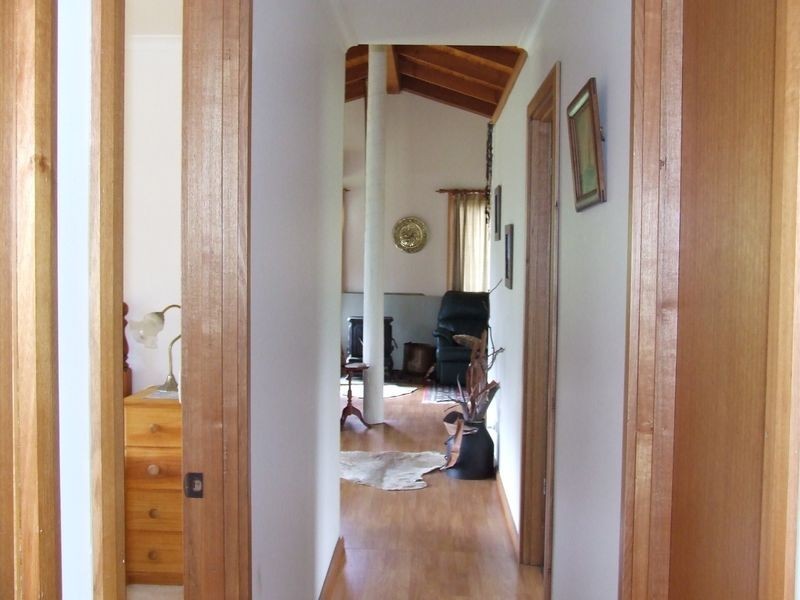 546 Upper Scamander Road, Scamander TAS 7215