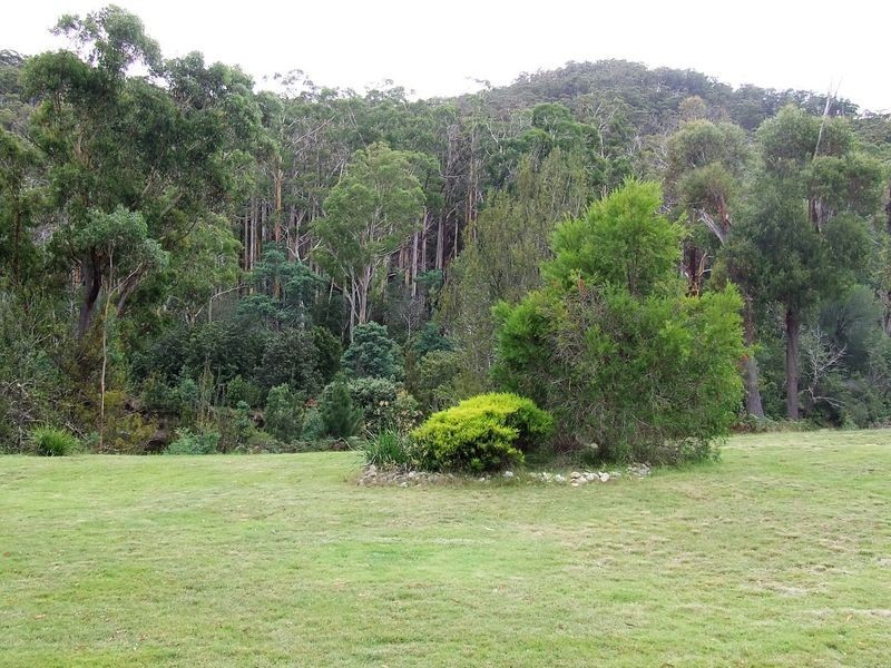 546 Upper Scamander Road, Scamander TAS 7215