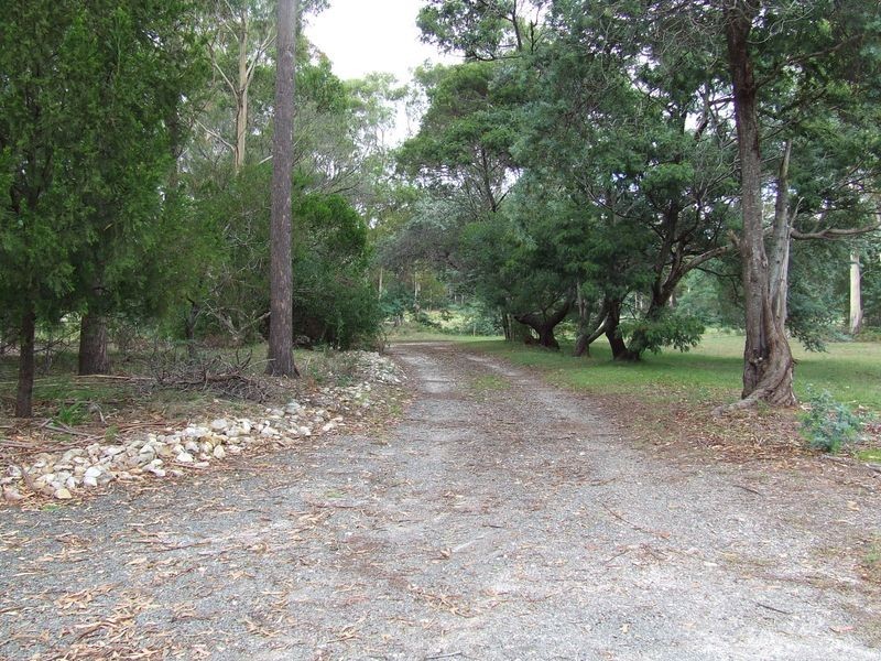 546 Upper Scamander Road, Scamander TAS 7215