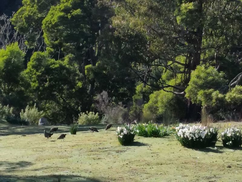 398 Germantown Road, St Marys TAS 7215