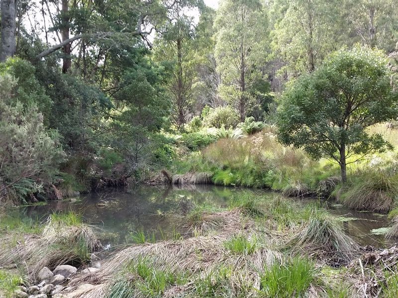 398 Germantown Road, St Marys TAS 7215