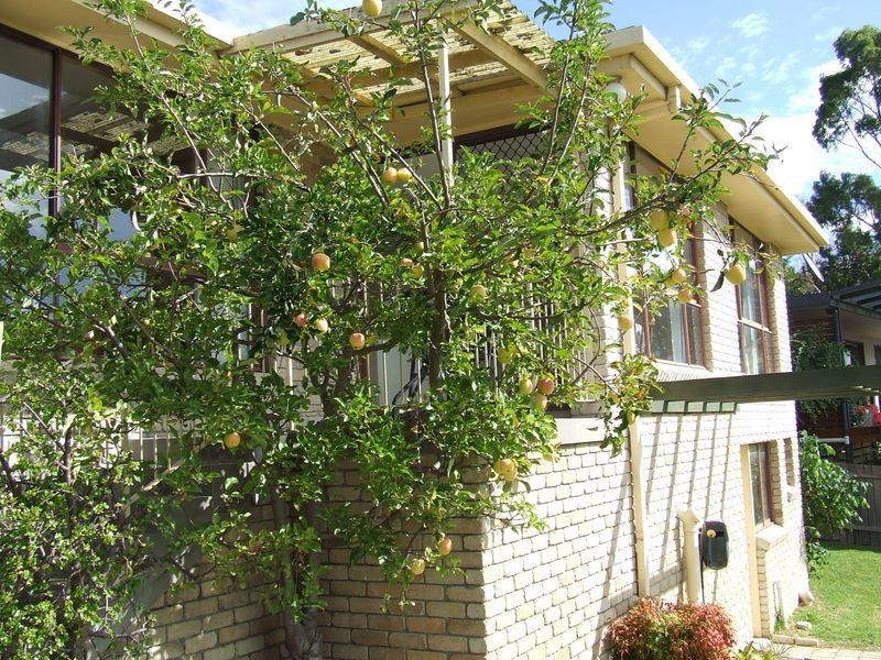 4 Idas Court, St Helens TAS 7216