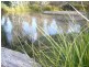 21444 Tasman Highway, Four Mile Creek TAS 7215