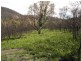 21444 Tasman Highway, Four Mile Creek TAS 7215