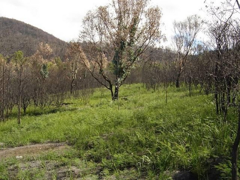 21444 Tasman Highway, Four Mile Creek TAS 7215