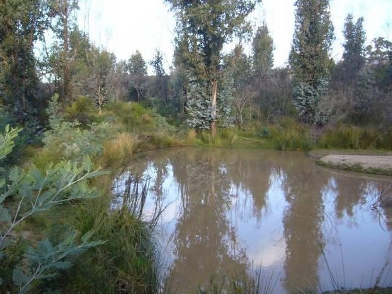 21444 Tasman Highway, Four Mile Creek TAS 7215