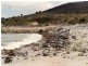 21444 Tasman Highway, Four Mile Creek TAS 7215