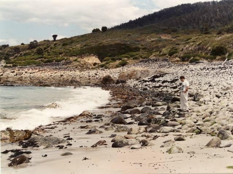 21444 Tasman Highway, Four Mile Creek TAS 7215