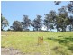 14 Kismet Place, St Helens TAS 7216