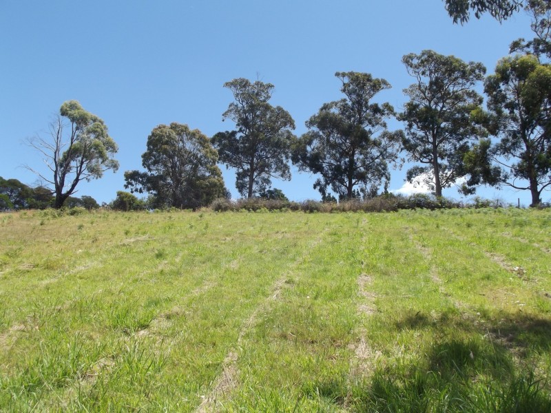 14 Kismet Place, St Helens TAS 7216