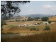 309 Lottah Road, Goulds Country TAS 7216