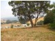 309 Lottah Road, Goulds Country TAS 7216