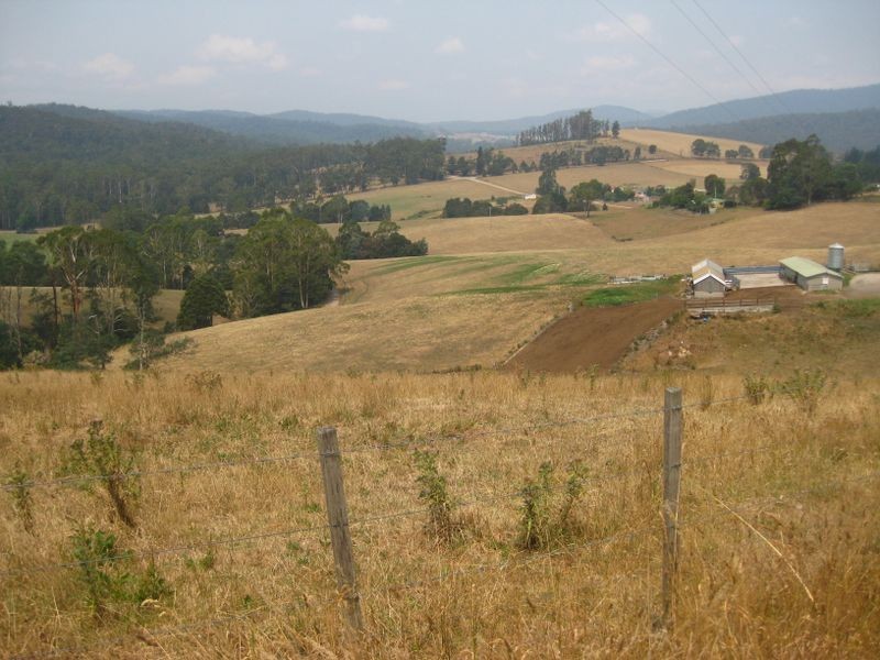 309 Lottah Road, Goulds Country TAS 7216