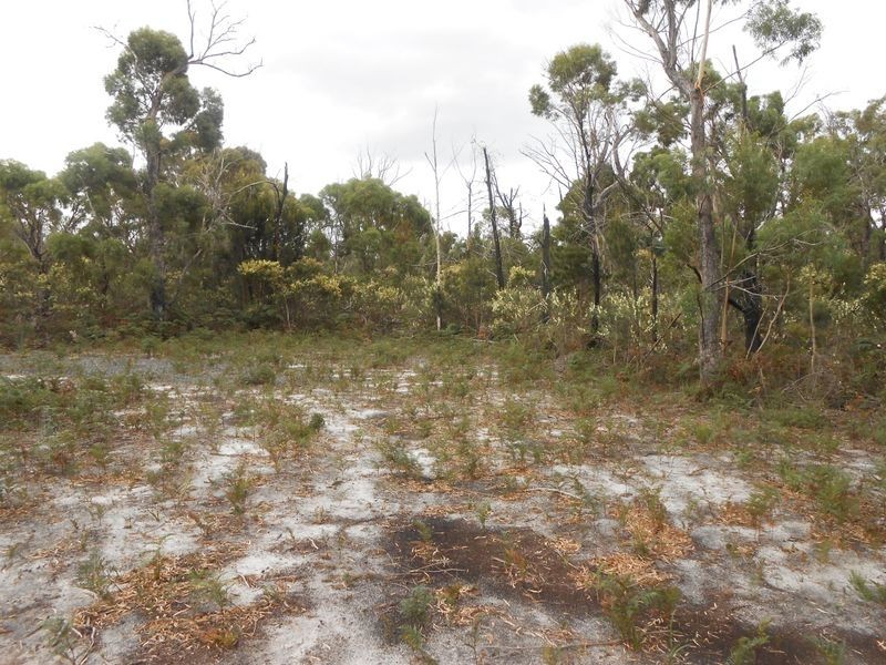 LOT 14 Tasman Highway, Scamander TAS 7215