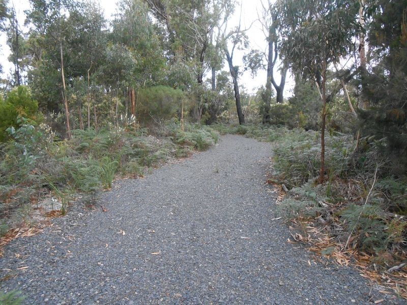 LOT 14 Tasman Highway, Scamander TAS 7215