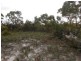 LOT 14 Tasman Highway, Scamander TAS 7215