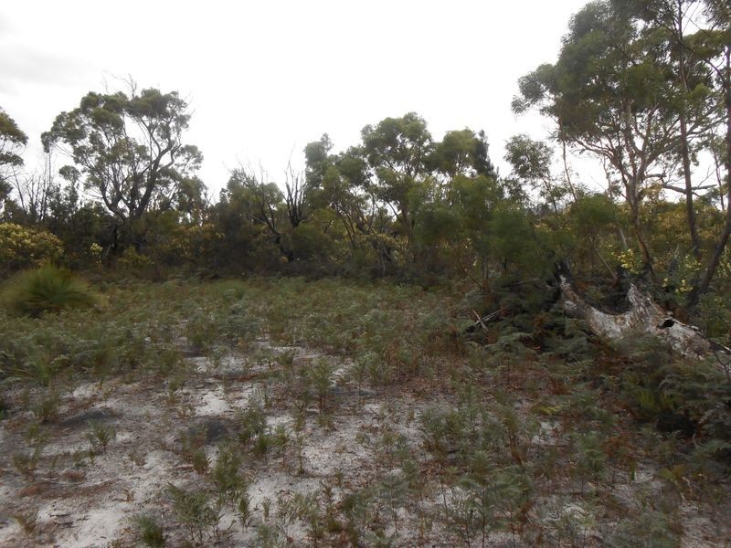 LOT 14 Tasman Highway, Scamander TAS 7215