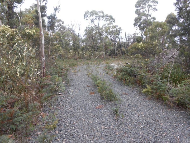 LOT 14 Tasman Highway, Scamander TAS 7215