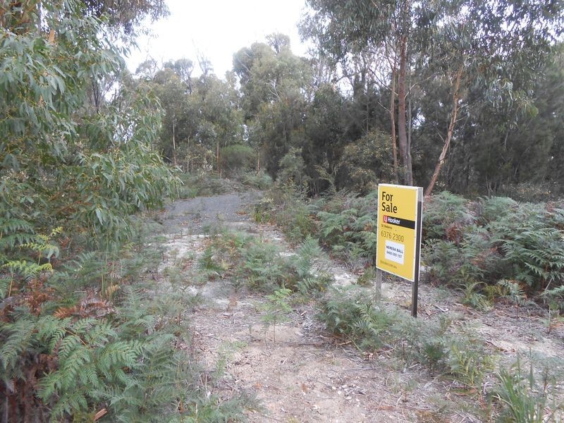 LOT 14 Tasman Highway, Scamander TAS 7215