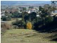 7381 Esk Main Road, St Marys TAS 7215