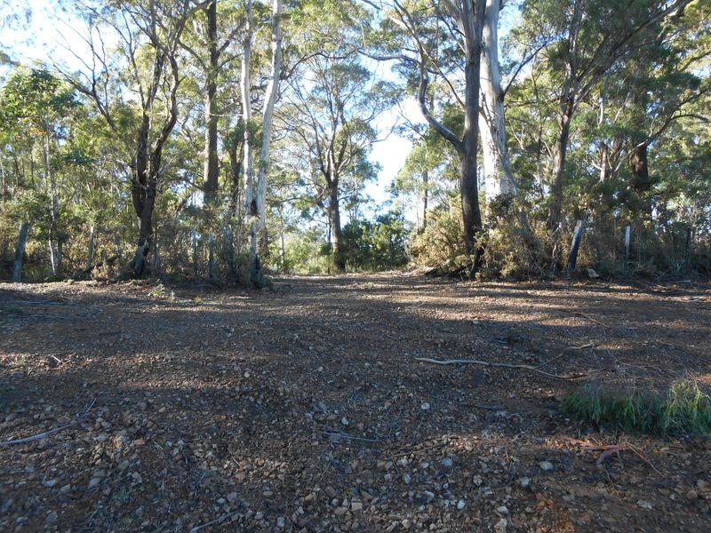 7381 Esk Main Road, St Marys TAS 7215