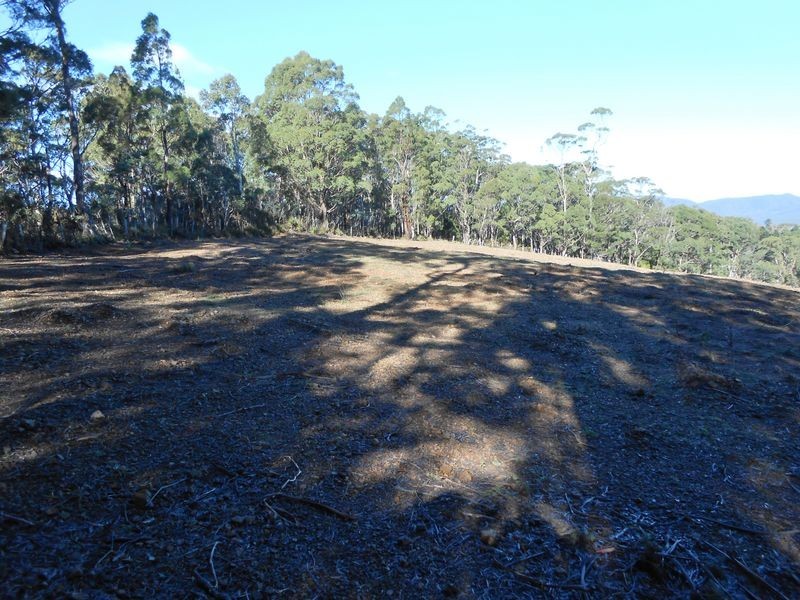 7381 Esk Main Road, St Marys TAS 7215