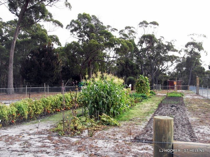 813 Reids Road, Binalong Bay TAS 7216
