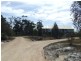 813 Reids Road, Binalong Bay TAS 7216