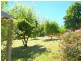 7 Penelope Street, St Helens TAS 7216