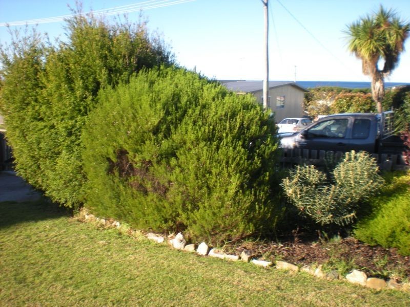 5 Belair Crescent, Beaumaris TAS 7215