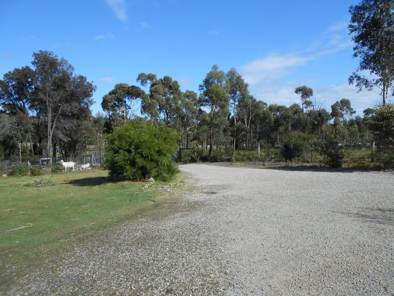 23318 Tasman Highway, Scamander TAS 7215