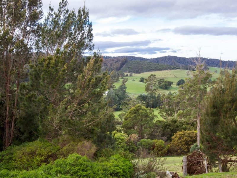 26933 Tasman Highway, Goshen TAS 7216