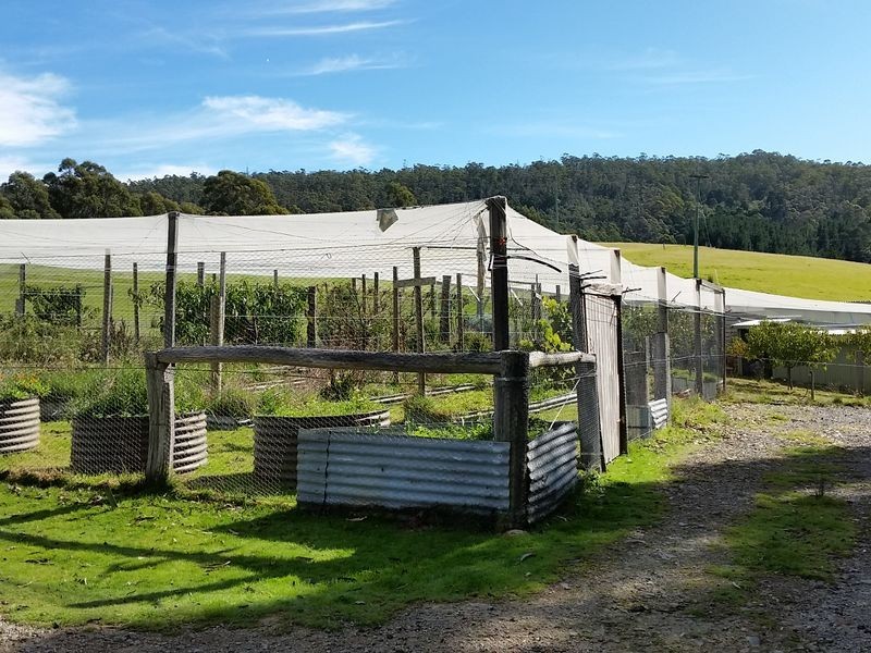 398 Germantown Road, St Marys TAS 7215