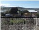 14 Mimosa Street, St Helens TAS 7216