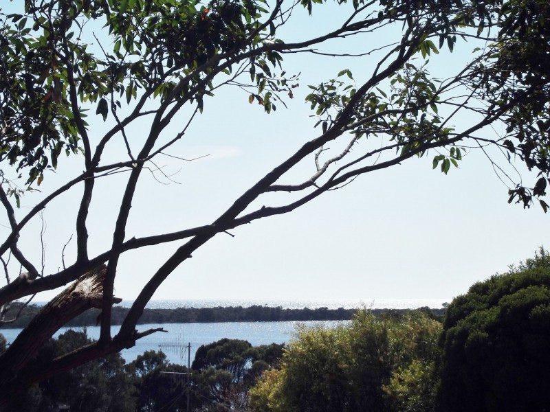 3 Cray Court, Binalong Bay TAS 7216